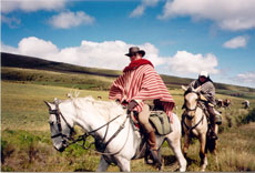 Equateur - Groupe de cavaliers  - Randonnée équestre sur l'avenue des volcans - Randocheval / Absolu voyages